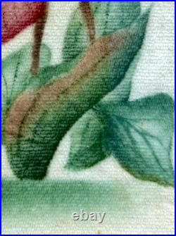 1915 RARE PAIR Old Saybrooke Ct. Folk Art Botanical Theorem Paintings On Velvet