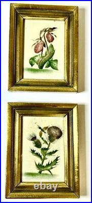 1915 RARE PAIR Old Saybrooke Ct. Folk Art Botanical Theorem Paintings On Velvet