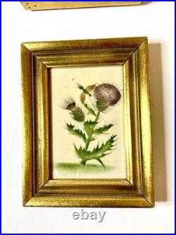 1915 RARE PAIR Old Saybrooke Ct. Folk Art Botanical Theorem Paintings On Velvet