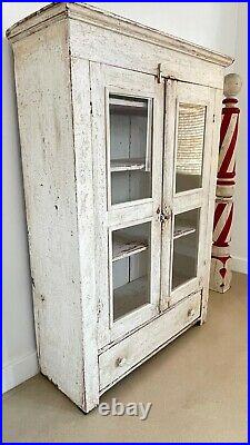 American Antique Folk Art Cabinet Cupboard With Glass White Alligator Paint