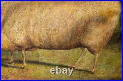 Antique American Folk Art Original Oil Painting Potrait Of Sheep