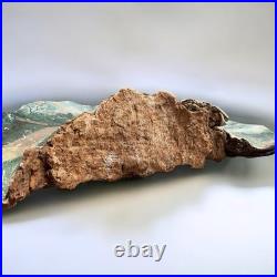 Antique American Folk Art Painting On Wood Mushroom 16 Neversink 1908 New York