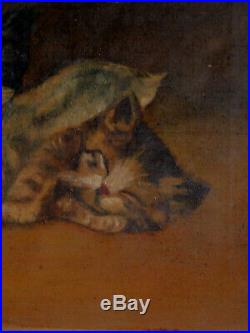 Antique Folk Art Oil Painting 2 cats Kittens 1800s FACES to Restore Primitive