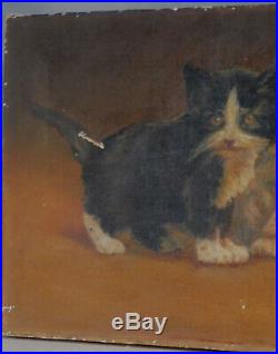 Antique Folk Art Oil Painting 2 cats Kittens 1800s FACES to Restore Primitive