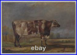 Antique Oil on Canvas Painting of a Short Horned Heifer Cow Signed J. Bateman