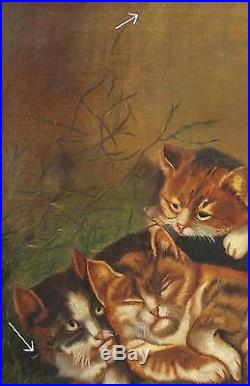 C1900 Antique Folk Art Cat Kittens O/C Oil Painting with Original Frame