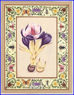 Crocus Sativus Floral Flower Painting Hand Miniature Gouache Folk Art 10.5x13.5