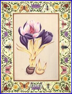 Crocus Sativus Floral Flower Painting Hand Miniature Gouache Folk Art 10.5x13.5