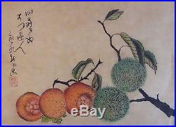 Fine Pre 1950 Japanese Folk Art Hand Painting of Pomegranate & Chestnut