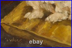 Joan Wills (1920-2003) Mid 20th Century Oil, A Handsome Chap Joan Wills (1920-2003) Mid 20th Century Oil, A Handsome Chap
