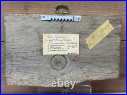 Mildred Feazel Memphis Folk Art The Sprague Mississippi River Steamboat #2429