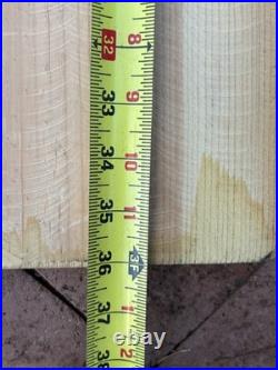 Navajo Painting Folk Art on Wood Crow Raven Leland Holiday 36 Native American