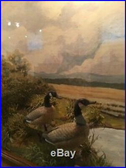 R G Rodell DIORAMA Hand Carved & Painted Canadian Geese, Shadowbox Folk Art Vtg