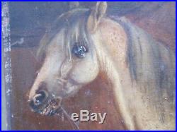 SMALL ANTIQUE OLD ORIGINAL OIL PAINTING of a HORSE NAIVE STYLE FOLK ART signed