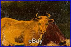 Small Antique American Folk Art Oil Painting Portrait Of Cows