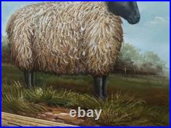 VTG Black Face Ram Folk Art Oil Board Barnyard Animal Primitive Framed Painting