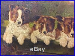 Very Nice Antique American Folk Art Collie Dog And Puppies Puppy Oil Painting