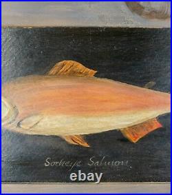 Vintage Oil on Cardboard Folk Art Americana Sockeye Salmon Fish Painting Signed