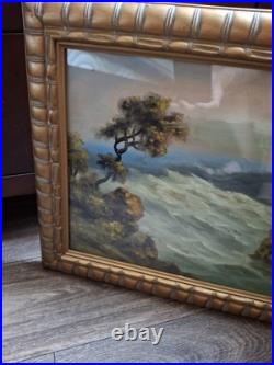 Vintage Old Beautiful Windswept Tree on California Coastline Framed Painting