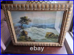 Vintage Old Beautiful Windswept Tree on California Coastline Framed Painting