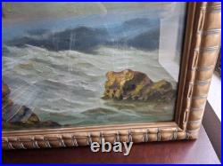 Vintage Old Beautiful Windswept Tree on California Coastline Framed Painting