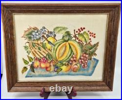 Vtg Folk Art Framed Fruit Theorem Painting Velvet Signed A. Johnson 16 x 13